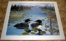 Maine Loons &quot;Lazy Day&quot; Signed Paul Boucher 25 x 19 Color Art Poster Print - £19.49 GBP