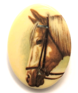 Vintage Horse Portrait Pin Oval Plastic Brooch Equestrian Animal Lover J... - $21.13 CAD