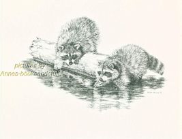 #131 two RACCOONS playing wild life art print  * Pen &amp; ink drawing * Jan... - $12.50