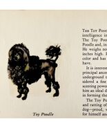 Toy Poodle 1939 Dog Breed Art Ole Larsen Color Plate Print Antique PCBG17 - $42.03 CAD