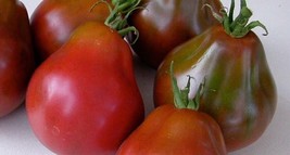 Black Truffle Tomato Seeds, Japanese Black Trifele, NON-GMO, Potato Leaf - $36.75 MXN+