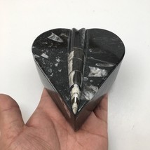 420 Grams Heart Fossils Orthoceras Handmade Black Jewelry Box @Morocco,M... - £20.32 GBP