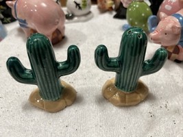 Beautiful 5&quot; Green Catcus salt &amp; pepper shakers.  - €11,08 EUR