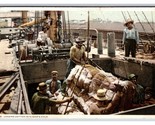 Loatding Cotton onto Ship Detroit Publishing 1911 DB Postcard U3 - $4.90