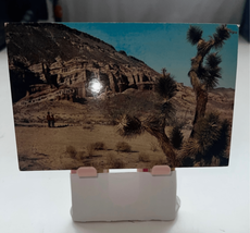 Joshua Tree Postcard-CurteichColor-Western Pub.-Mojave Red Rock Vintage Unposted - £1.56 GBP