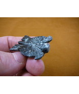 Y-BUT-5 little gray white BUTTERFLY insect carving stone gemstone SOAPST... - $8.59