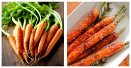 Imperator Carrot Seeds Vegetable Seeds 6000 Fresh Garden seeds Home and ... - $19.99