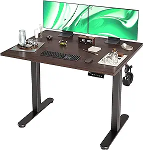 Bamboo Electric Standing Desk, 40X24 Inches Adjustable Height Stand Up D... - $231.99