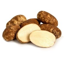Potato Tubers Russet Burbank (10 Micro Tubers), Seeds R - £33.84 GBP