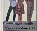 Blockbuster  Sixteen Candles 500-Piece Puzzle in Retro VHS Case - $10.39