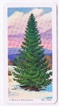 Brooke Bond Red Rose Tea Card #15 Balsam Fir Trees Of North America - $0.98