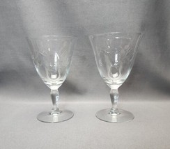 Vintage Susquehanna Fantasy Pattern Water Goblets Floral Wine Glasses (Set of 2) - £17.55 GBP