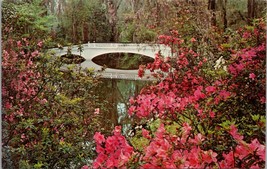 Magnolia Gardens Charleston SC Postcard PC522 - £3.72 GBP