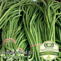40 Seeds Yard Long Green Bean - £9.55 GBP