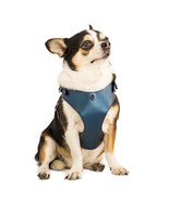 BECHIVA Soft real leather harness for small dogs/cats. Chihuahua, Yorksh... - £72.29 GBP