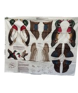 Crantson VIP Cut and Sew Fabric Panel Ducks Mallard and Wood Duck Soft S... - £12.02 GBP