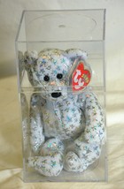 Ty Beanie Baby Beginning Bear 2000 Retired Tags Display Box Case - £23.34 GBP