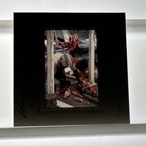 Union Island Clifton Harbor Fisherman With Catch 35mm Slide Photo  - $135.59 MXN Union Island Clifton Harbor Fisherman With Catch 35mm Slide Photo  - $135.59 MXN