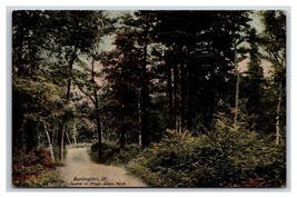 Path Through Ethan Allen Park Bennington Vermont VT UNP Unused DB Postcard U2 - £2.15 GBP