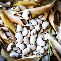 LIMA BEAN ALABAMA BLACKEYED BUTTERBEAN, 20 SEEDS R - $304.51 MXN