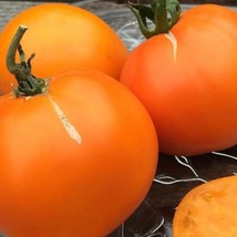 Valencia Tomato Seeds Organic New Fresh Seeds - $3.96