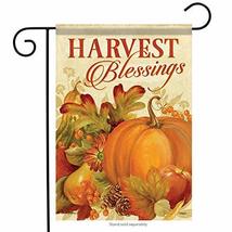 Harvest Bounty Thanksgiving Garden Flag-2 Sided Message,12&quot; x 18&quot; - £15.94 GBP