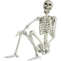 Halloween Skeleton - Life Size Human Bones, Movable Joints for Spooky Decoration - £65.01 GBP