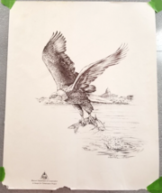 Bald Eagle Hunting Cat Fish Art Print Talons In Flight Charles W Schwartz - £14.23 GBP