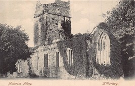 Killarney Ireland~Muckross Abbey~Lawrence Photo Postcard - £8.08 GBP