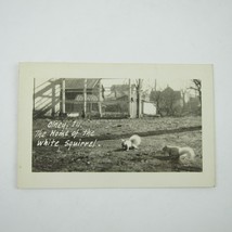 Real Photo Postcard RPPC Olney Illinois Home of White Squirrel Antique UNPOSTED - £15.97 GBP