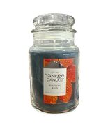 YANKEE CANDLE Rustling Rain Large 22oz Original Jar Candle Fresh &amp; Clean... - $50.24 CAD