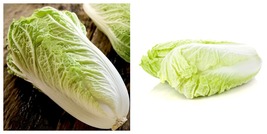 300 Seeds Chinese Baby Cabbage Vegetable - $24.99