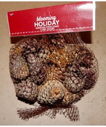 Pine Cones Scented Small 2&quot; Mix You Choose Color 1 Dry Qt Blooming Holid... - $7.53 CAD