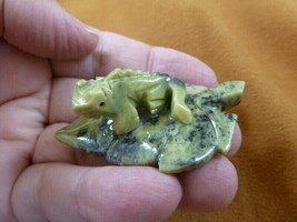 (Y-LIZ-IG-166) Baby iguana on LEAF carving GREEN Gem gemstone FIGURINE l... - $11.29