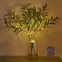 Lighted Olive Branches with Timer 24IN 45LED Battery Operated - £31.97 GBP