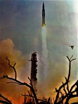 NASA Apollo 8 Photo, 11&quot;x14&quot; picture, Between Heaven and Earth - $9.00