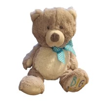 Baby Ganz Big Brother Stitched on Foot Bear Plush Gray White Stuffed Animal 14&quot;t - £13.93 GBP