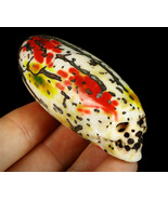 1000 Eyes Bodhi Seed Skull Wealth Prosperity Luck Protection Healing by ... - $550.00