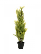 EUROPALMS Cypress, Leyland,Artifical Plant,90cm - £66.48 GBP