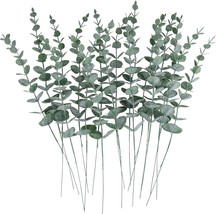 Cewor 24Pcs Eucalyptus Stems Artificial Eucalyptus Leaves Faux Greenery Branches - $29.99