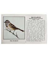 Tree Sparrow Bird Print 1931 Blue Book Birds Of America Antique Art PCBG13C - €8,58 EUR
