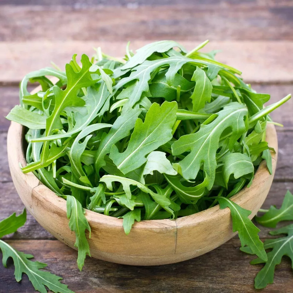 500 Μg Seeds Arugula Salad Rocket Wild Roquettes Sow Early Spring Or Lat... - £15.72 GBP