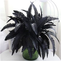 Yudong Artificial Black Persian Fern Leaf Plant Fake And Realistic Plastic - £24.12 GBP