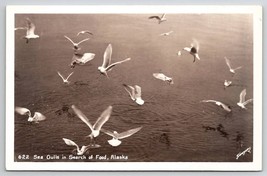 Alaska Sea Gulls In Search of Food  RPPC Sawyers Photo Postcard W21 - £5.46 GBP