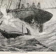 Harpooning Swordfish From Boat Wood Engraving 1887 Victorian Hunting Art DWEE20 - £47.12 GBP