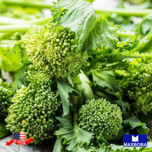 Broccoli Seeds Raab Spring Rapini (Organic) Nongmo Heirloom Garden Us Seller - £2.91 GBP