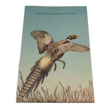 Ring Neck Pheasant South Dakota Pheasant Paradise of America Postcard Linen Vtg - £3.59 GBP