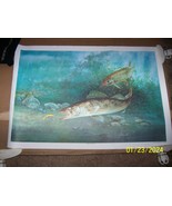 (3) Vintage Shakespeare Fishing Collection Prints By Robert Chappell - £19.54 GBP