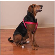 MPP 75 Pack Dog Harnesses Bulk Wholesale Assorted Colors Vet Rescue Shel... - $522.40+