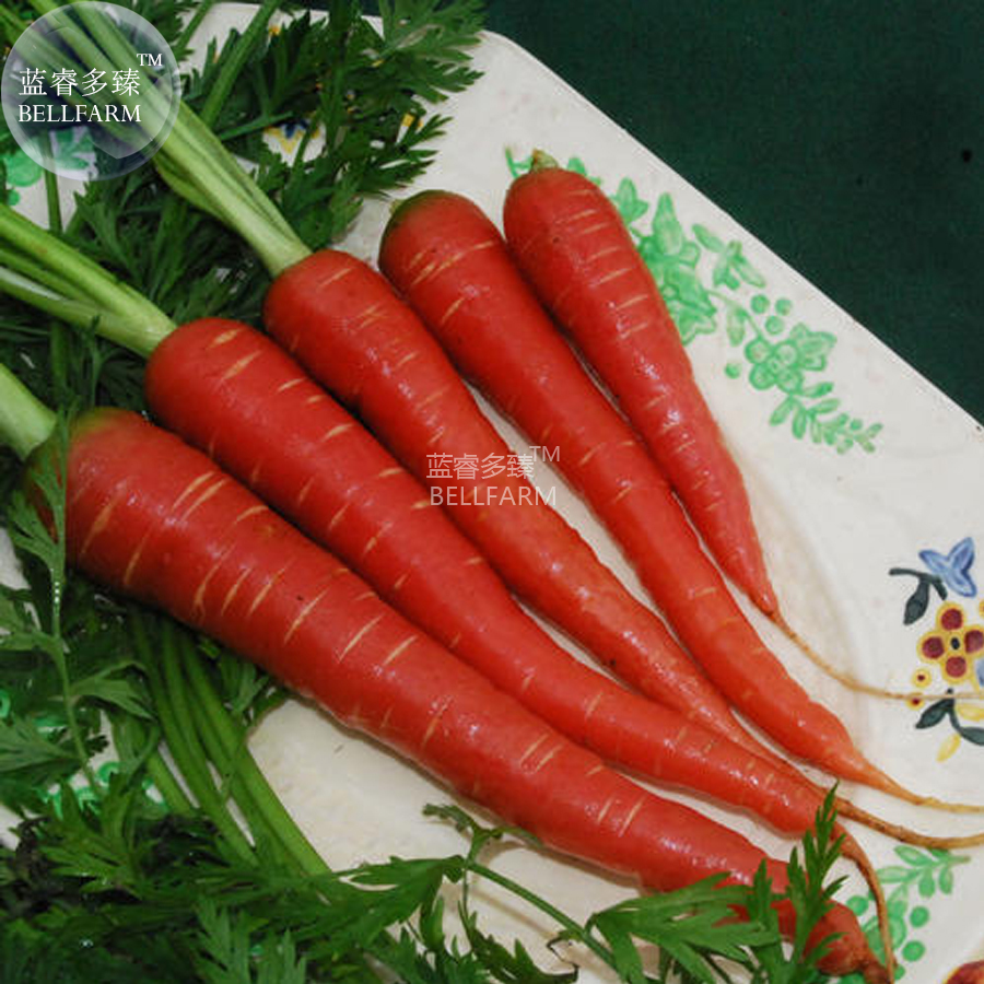Atomic Carrot Seeds 100 Seeds Pack Rose Red Vegetables Green Seeds E4273 Garden